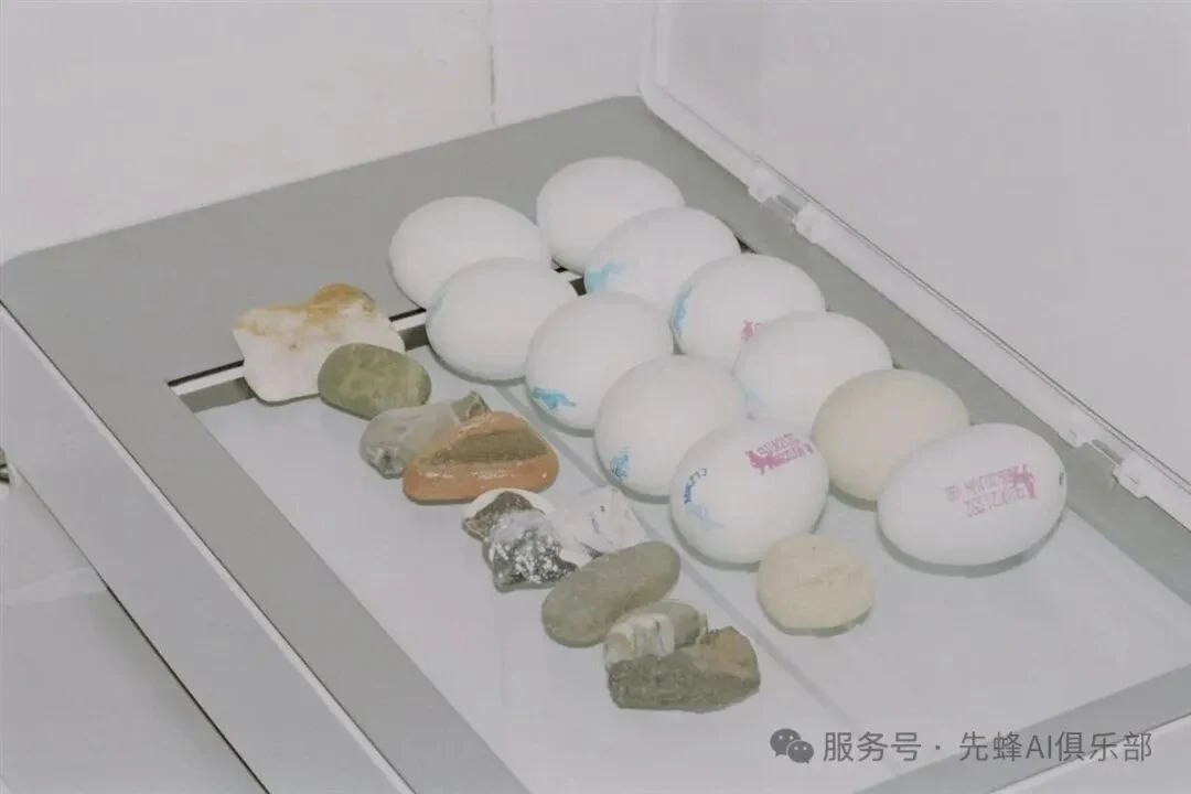 Silvia 摄影作品：同样是鸡蛋，两张照片为什么让人停下来的方式不同？